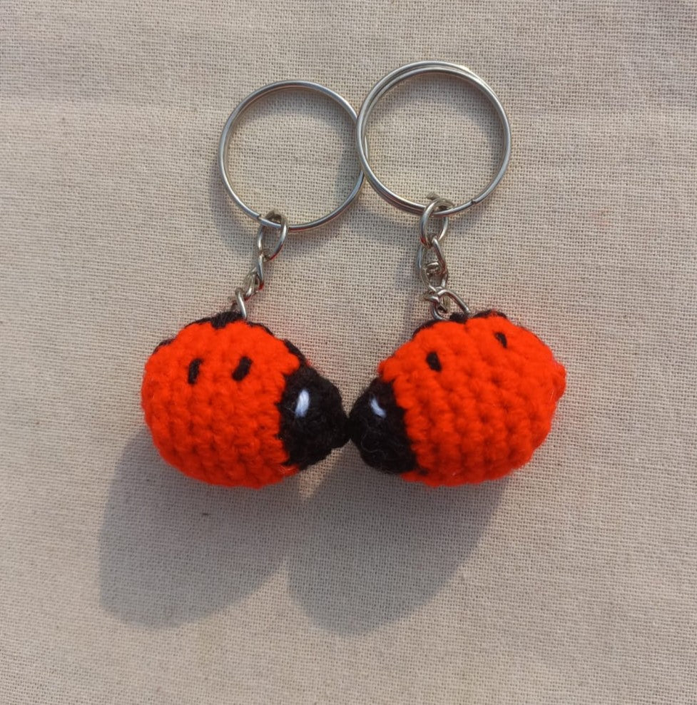 Love Bugs: Valentine's Day Ladybug Keyring Pair
