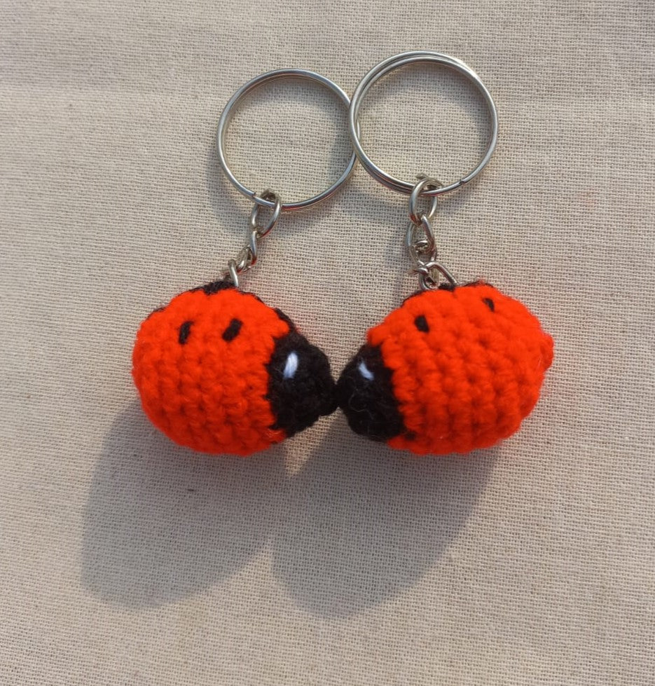 Love Bugs: Valentine's Day Ladybug Keyring Pair