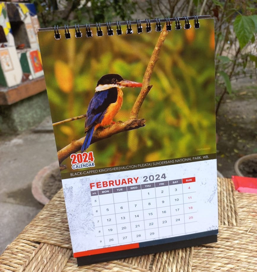 Indian Kingfisher Calendar 2024