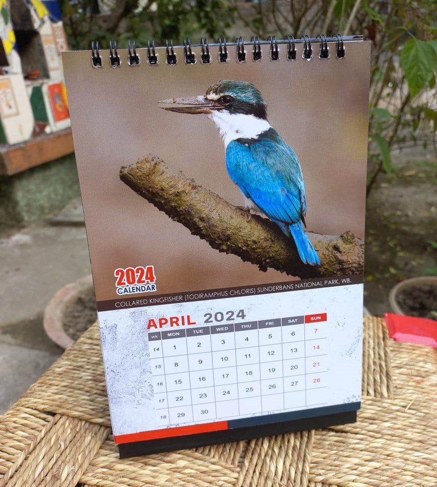 Indian Kingfisher Calendar 2024