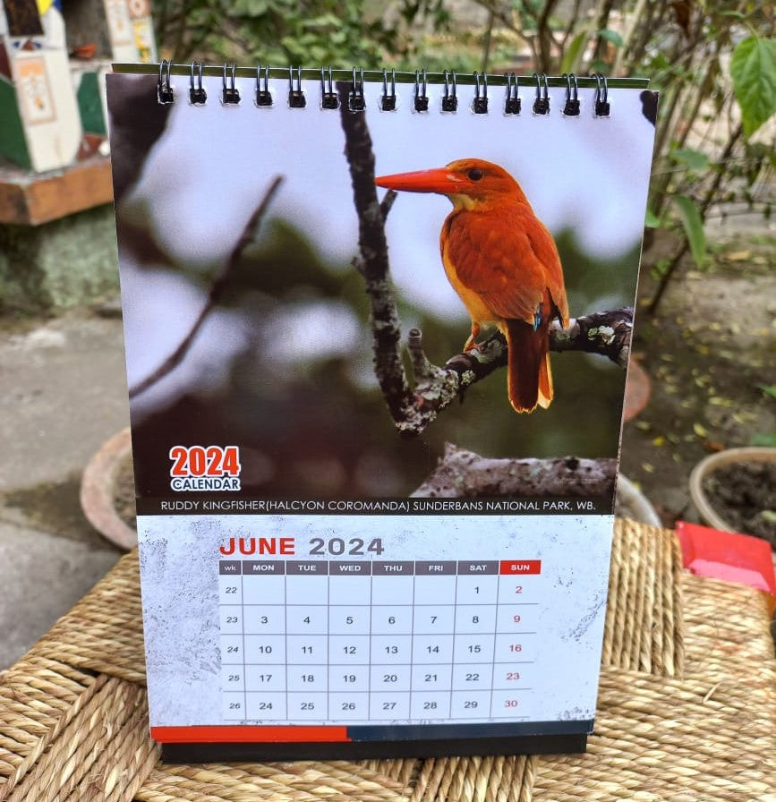 Indian Kingfisher Calendar 2024