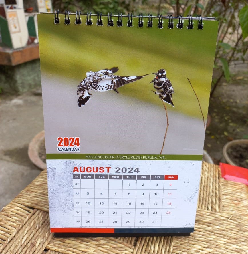Indian Kingfisher Calendar 2024