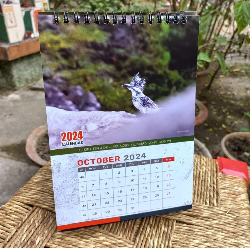 Indian Kingfisher Calendar 2024