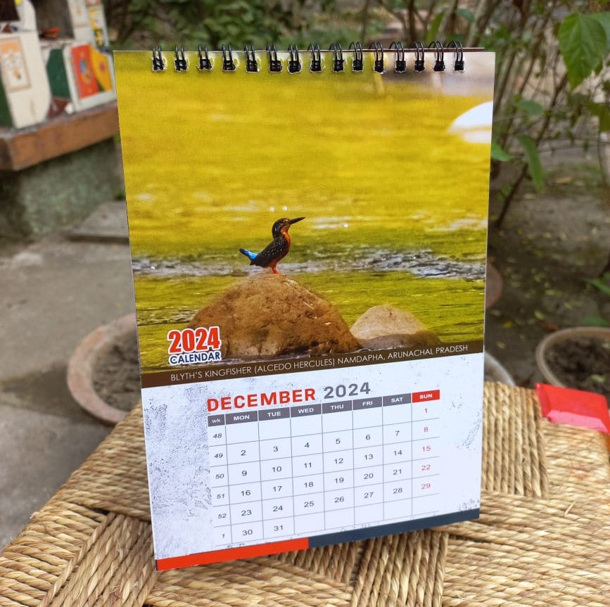 Indian Kingfisher Calendar 2024