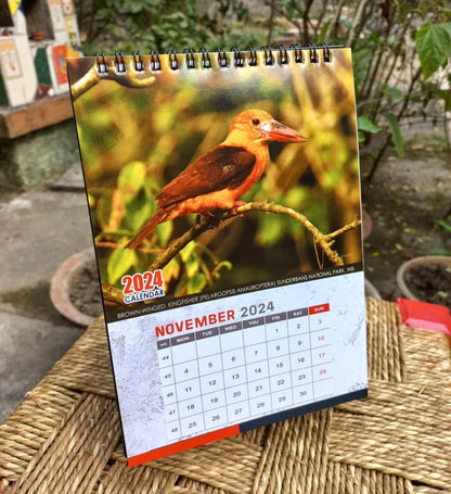 Indian Kingfisher Calendar 2024
