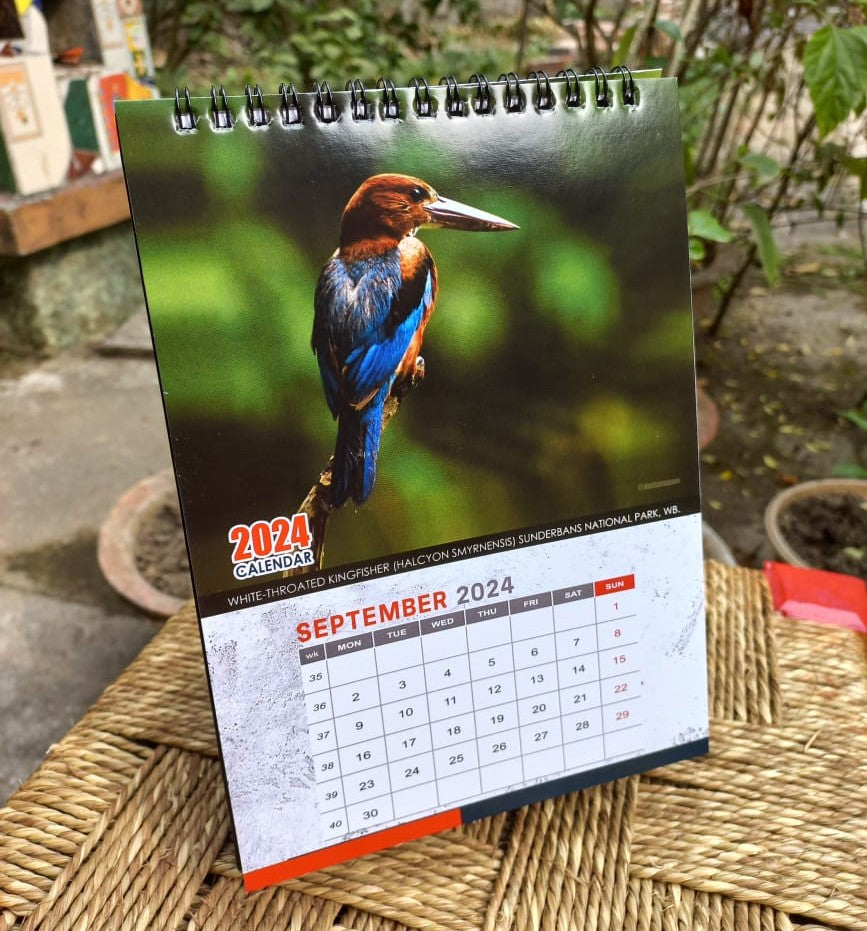 Indian Kingfisher Calendar 2024