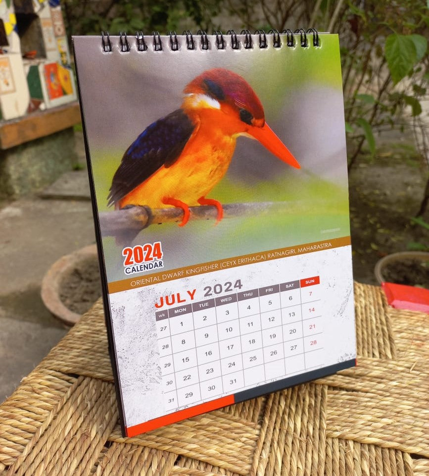Indian Kingfisher Calendar 2024