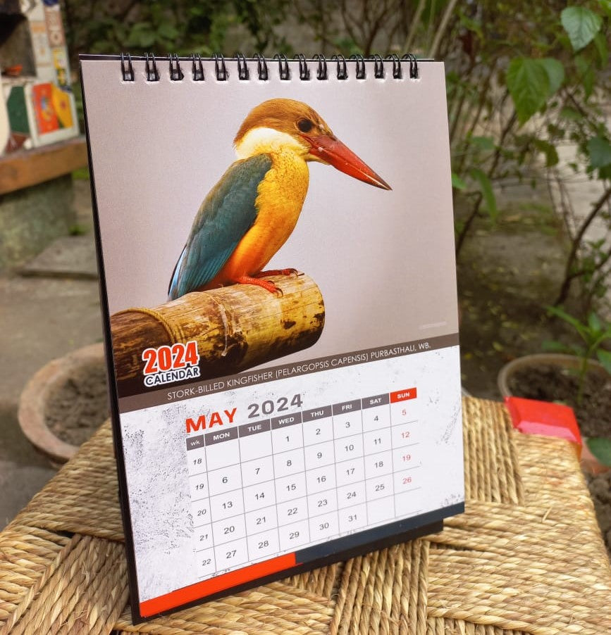 Indian Kingfisher Calendar 2024