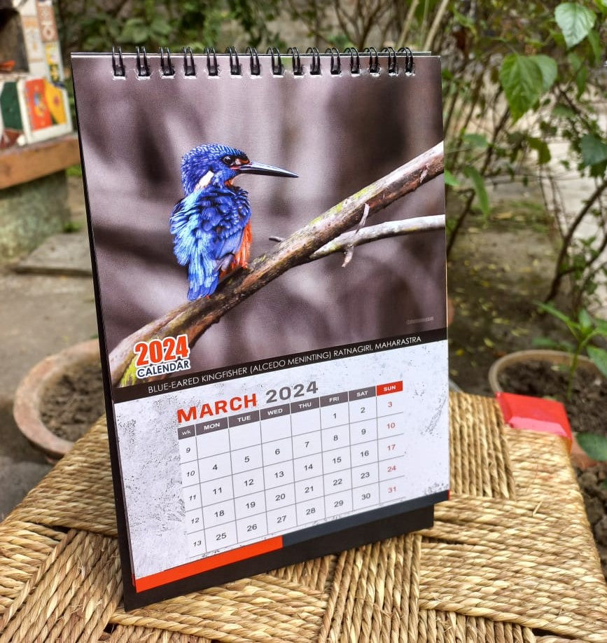 Indian Kingfisher Calendar 2024