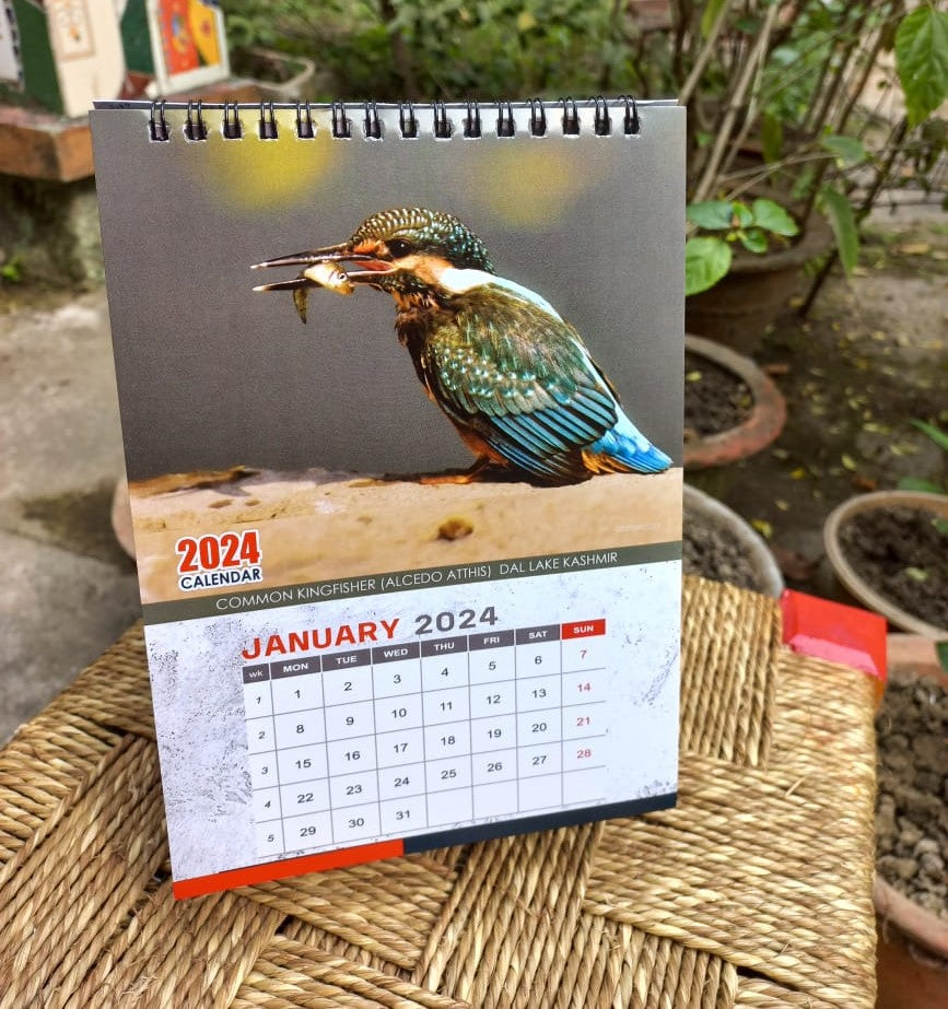 Indian Kingfisher Calendar 2024