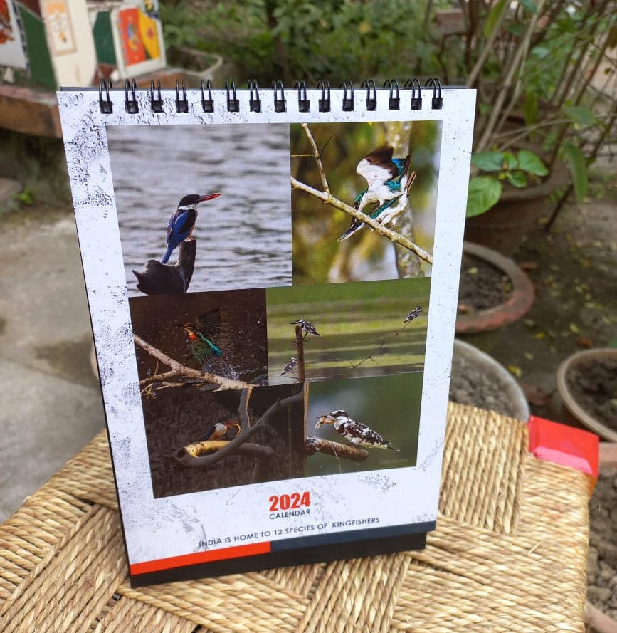 Indian Kingfisher Calendar 2024
